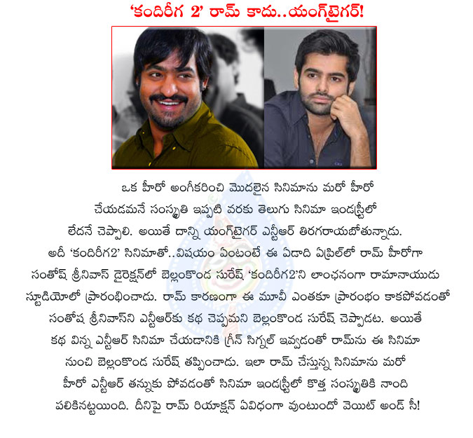 jr ntr,young tiger ntr,ram hero,jr ntr replaces ram in kandireega 2,santhosh srinivas movie,bellamkonda suresh,new treand in tollywood industry,kandireega 2 movie details,jr ntr jhalak to hero ram,ram out in kandireega 2 movie  jr ntr, young tiger ntr, ram hero, jr ntr replaces ram in kandireega 2, santhosh srinivas movie, bellamkonda suresh, new treand in tollywood industry, kandireega 2 movie details, jr ntr jhalak to hero ram, ram out in kandireega 2 movie